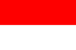 Indonezyjskie 🇮🇩 rasy psów